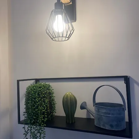 Sunset فيكو إيكوينس